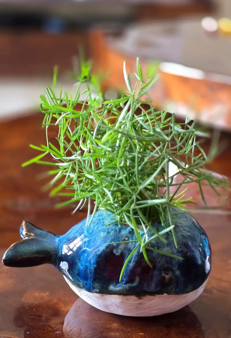 Whale Shape Bud Vase